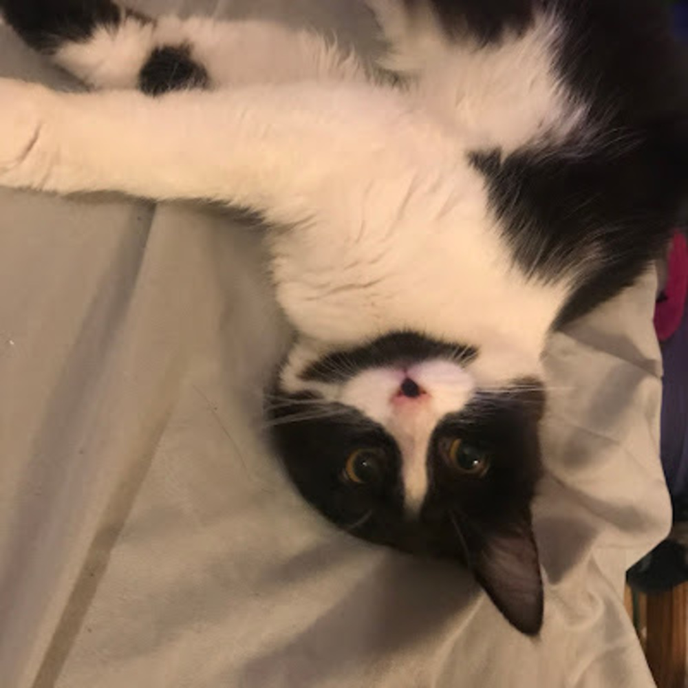 Meet your Posher, Cj